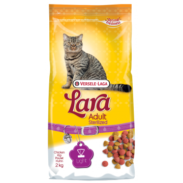 Lara Cat Adult sterelized