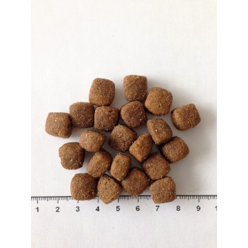 Croquette Performance FR - 20 kg