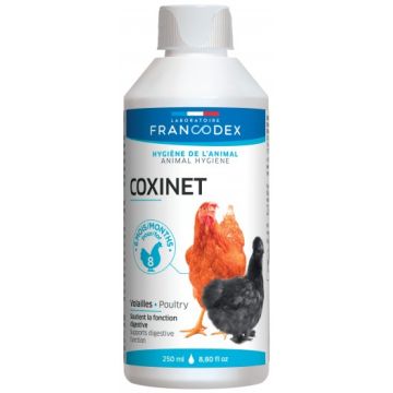 Coxinet 250 ML