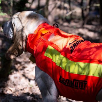 Gilet de protection PROTECT DOG ARMOR V3