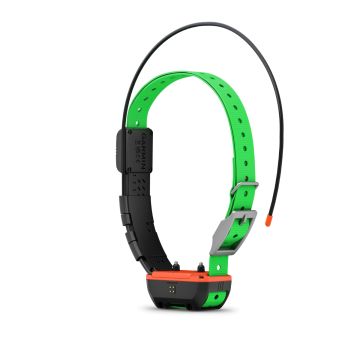 Collier repérage pour chien GARMIN TT25