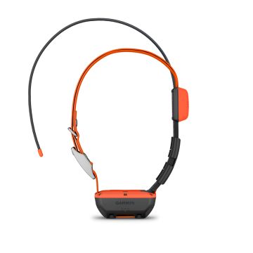 Collier repérage pour chien GARMIN T20