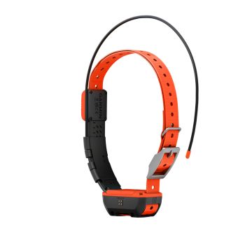 Collier repérage pour chien GARMIN T20